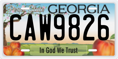 GA license plate CAW9826