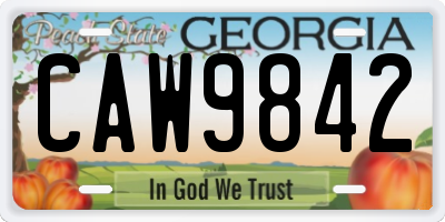 GA license plate CAW9842