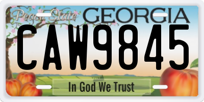 GA license plate CAW9845