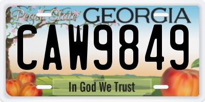 GA license plate CAW9849