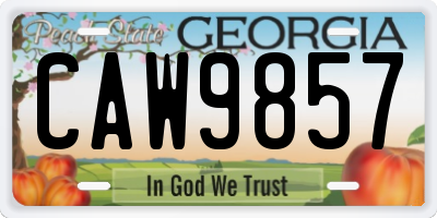 GA license plate CAW9857