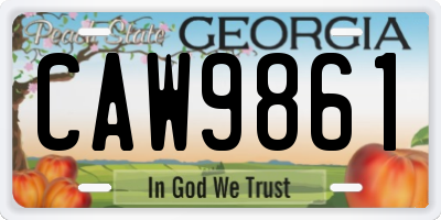 GA license plate CAW9861