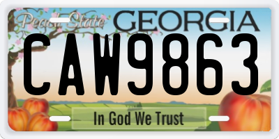 GA license plate CAW9863