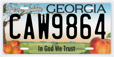 GA license plate CAW9864