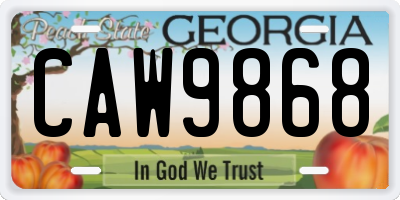 GA license plate CAW9868