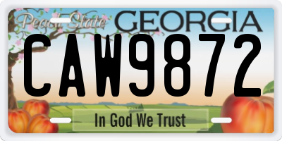 GA license plate CAW9872