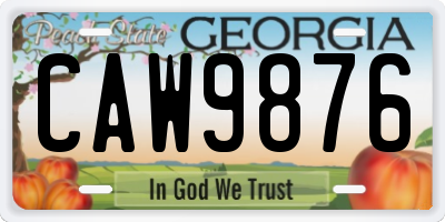 GA license plate CAW9876