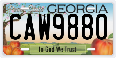 GA license plate CAW9880