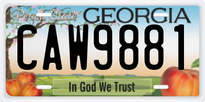GA license plate CAW9881