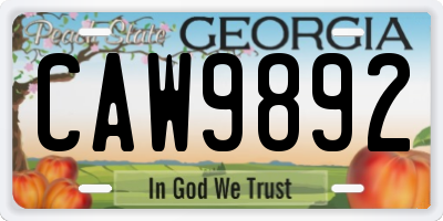 GA license plate CAW9892