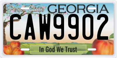 GA license plate CAW9902