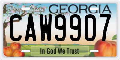 GA license plate CAW9907