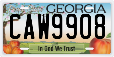 GA license plate CAW9908