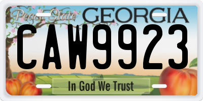 GA license plate CAW9923