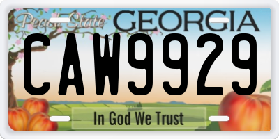 GA license plate CAW9929