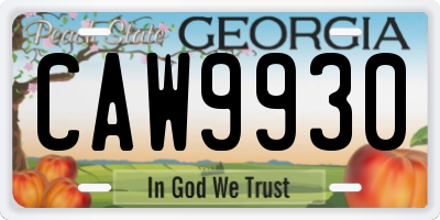 GA license plate CAW9930