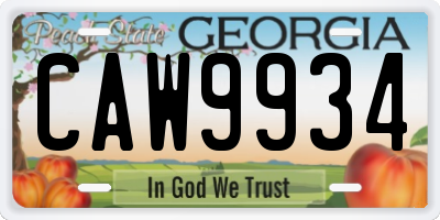 GA license plate CAW9934
