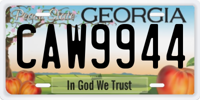 GA license plate CAW9944