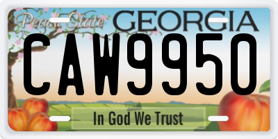 GA license plate CAW9950