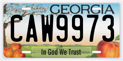 GA license plate CAW9973