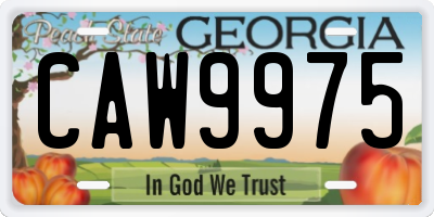 GA license plate CAW9975