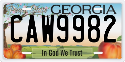 GA license plate CAW9982