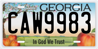GA license plate CAW9983