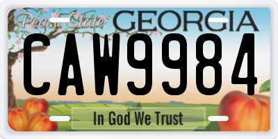 GA license plate CAW9984