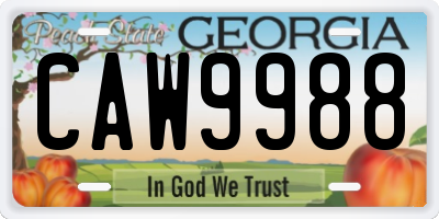 GA license plate CAW9988