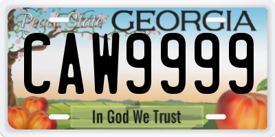 GA license plate CAW9999