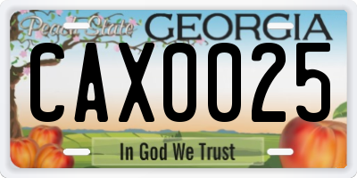 GA license plate CAX0025
