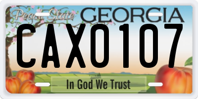 GA license plate CAX0107