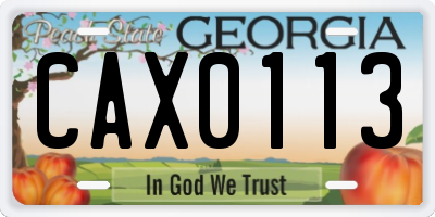 GA license plate CAX0113