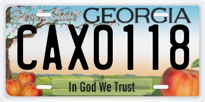 GA license plate CAX0118