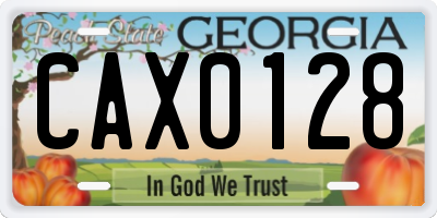 GA license plate CAX0128