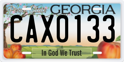 GA license plate CAX0133