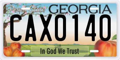 GA license plate CAX0140