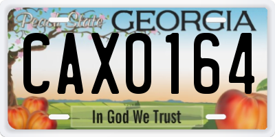 GA license plate CAX0164