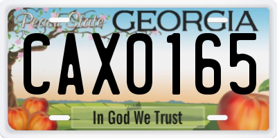 GA license plate CAX0165