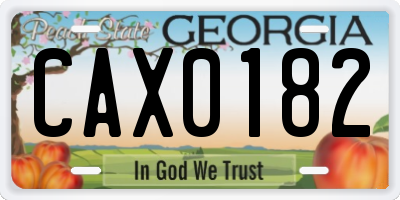 GA license plate CAX0182