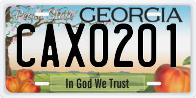 GA license plate CAX0201