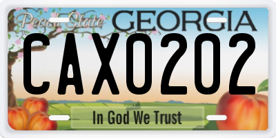 GA license plate CAX0202