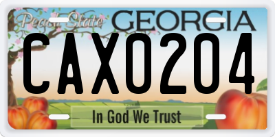 GA license plate CAX0204