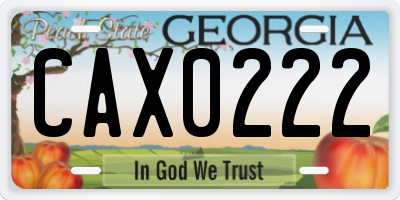 GA license plate CAX0222