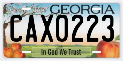 GA license plate CAX0223