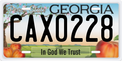 GA license plate CAX0228