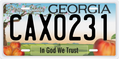 GA license plate CAX0231