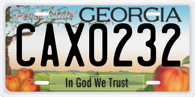 GA license plate CAX0232