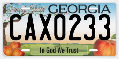 GA license plate CAX0233
