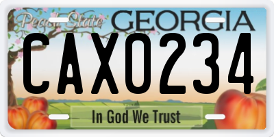 GA license plate CAX0234